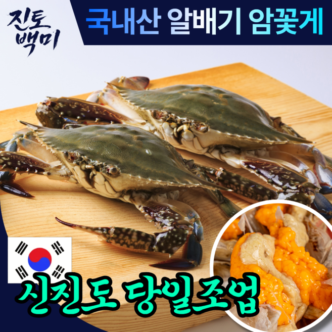 [당일조업] 생물 꽃게 국내산 알배기 암꽃게 제철 맞이 활꽃게 100% 산지직송, 1박스, 암꽃게 1kg (4~6 미 내외)