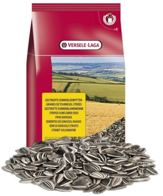 버셀라가 해바라기씨, 600g, 1개