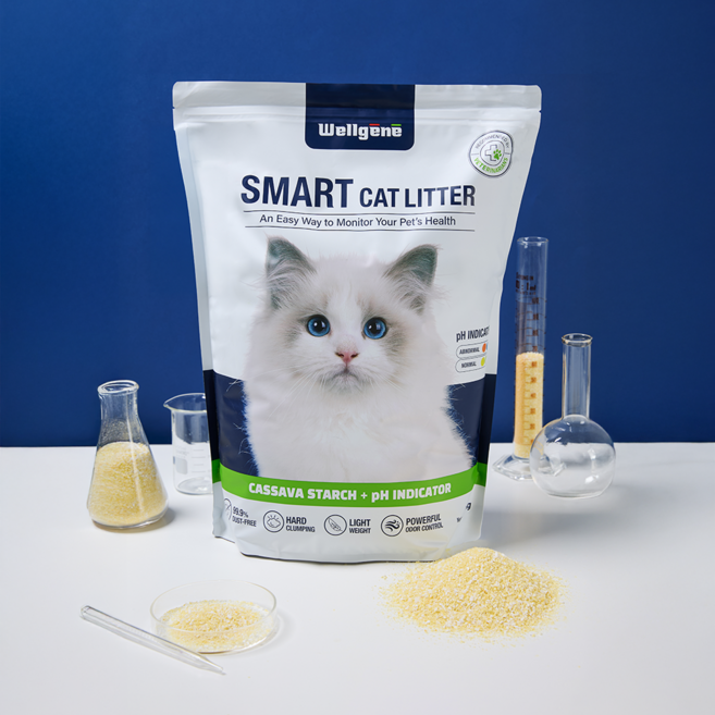 웰젠 스마트 고양이 신장 건강 카사바 pH 캣 리터 모래 3.7kg, 카사바 무향, 1개