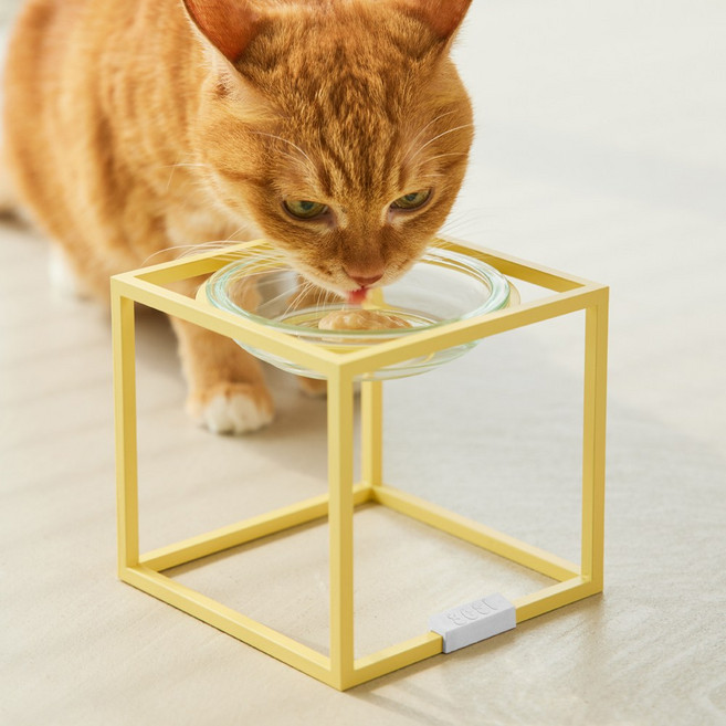 3651 츄릅식기 고양이 습식전용 식기, 1개, 버터크림