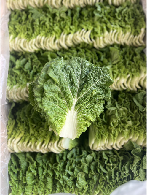 싱싱한 쌈추 쌈배추 겉절이 1kg, 쌈배추 1kg, 1개