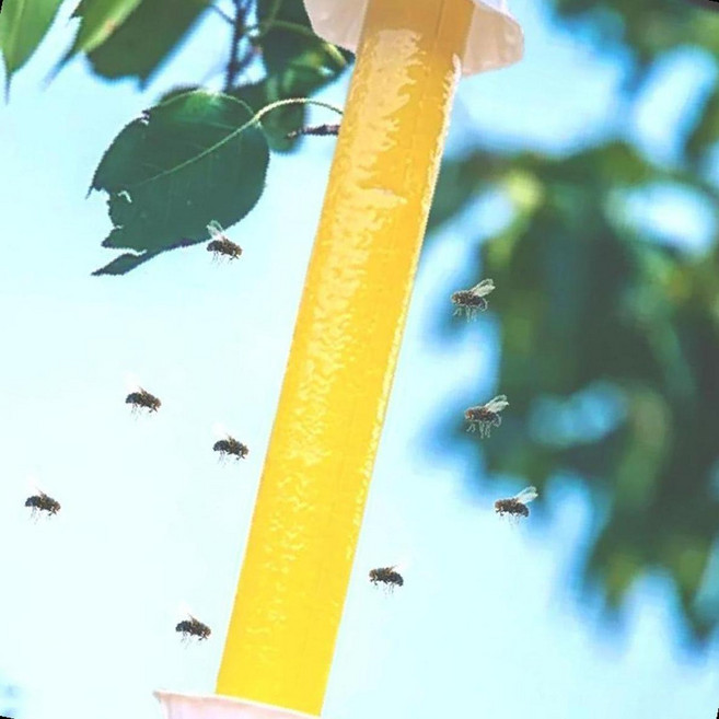 파리 끈끈이 테이프 접착식 해충 포획 주방 위생, 상세페이지 참조