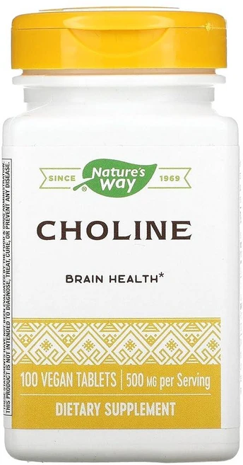 Natures Way 500Mg 100 Tb 콜린 CT, Natures Way 500Mg 100 Tb 콜린, C, 1 - 쿠팡