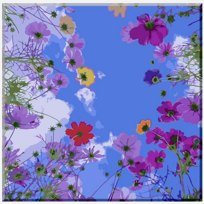 모모픽스페인팅 DIY명화그리기 40x40cm, 코스모스, 1개