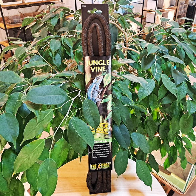 엑소테라 파충류 인조 덩굴 소 크레스티드게코 장수풍뎅이 사슴벌레 비바리움 덩쿨 바인 장식, 1개