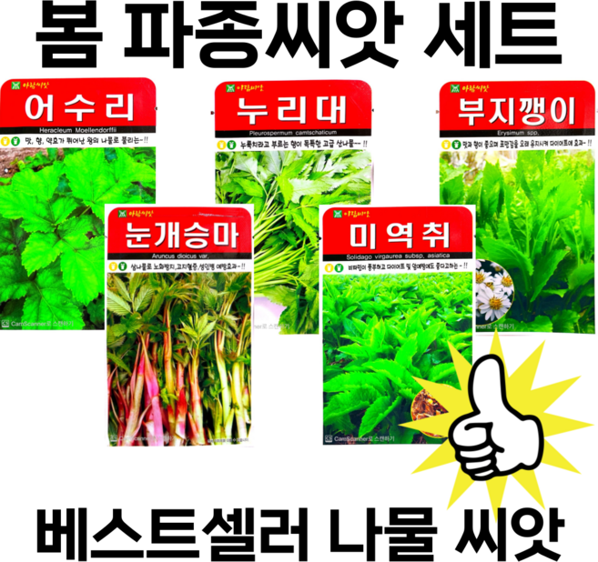 봄나물씨앗세트 봄나물씨앗 이거면 끝 어수리씨앗 누리대씨앗 눈개승마씨앗 미역취씨앗 부지깽이 씨앗 세트, 5개