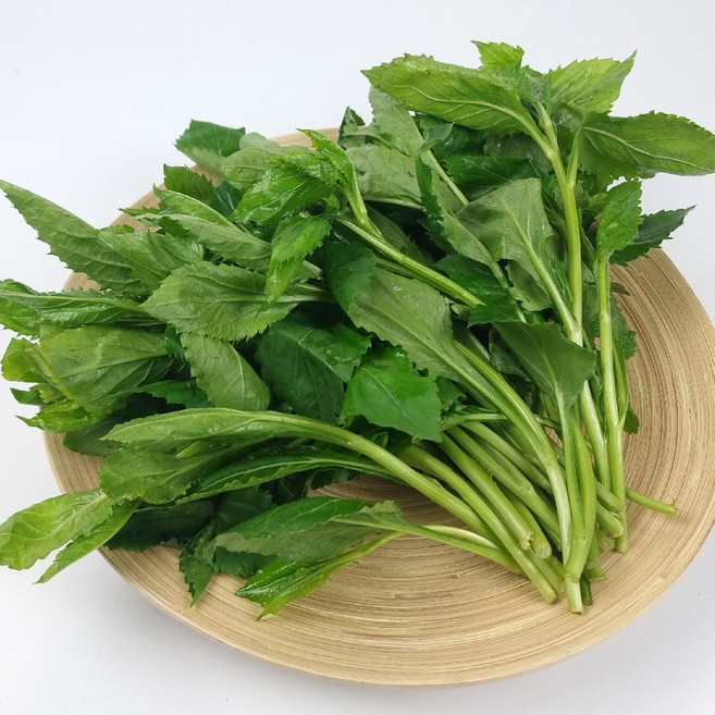 국내산 생 취나물 당일수확 산지직송, 1박스, 4kg