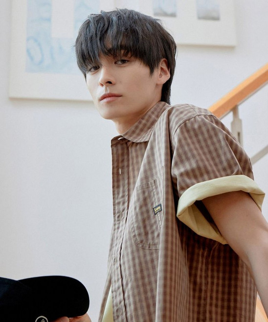 리 LEE 로코 포켓 코튼 린넨 반팔 셔츠 브라운