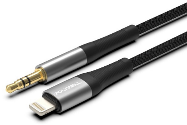 POLYWELL 寶利威爾 音源轉接線 Lightning Type-C轉3.5mm 音源線, 1個, Lightning轉3.5mm (1米)