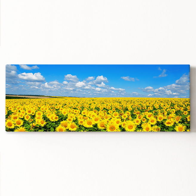 돈들어오는 황금빛 해바라기 풍수 그림 캔버스 액자 [더아트컴퍼니 재물운 인테리어 집들이 개업 추석 효도 부모님 선물], 캔버스L형액자 초대형 (186x70cm)