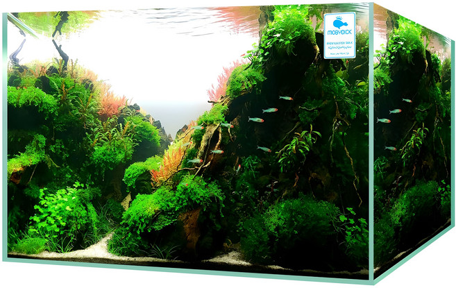 모비딕 유리 어항, 1개
