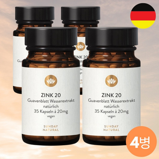 독일 구아바잎추출물 아연 항염 면역력 영양제 500mg 4병, 35정, 4개