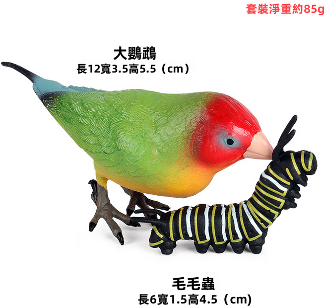 仿真動物模型玩具實心飛禽鳥類貓頭鷹老鷹鸚鵡孔雀鴕鳥認知擺件, 1個, 大牡丹鸚鵡吃毛毛蟲:1743