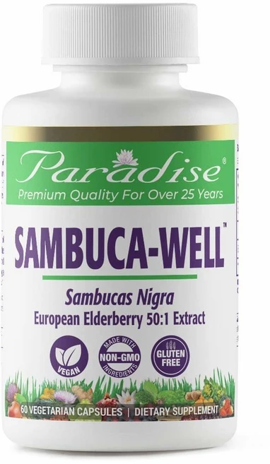 Paradise Herbs Sambuca-Well Elderberry Extract 파라다이스 허브 엘더베리 추출물 250mg 60정, 2개 - 쿠팡