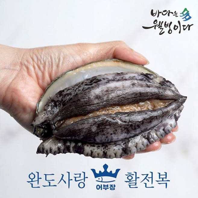 완도사랑 활전복1kg(7~8미), 1개, 단품