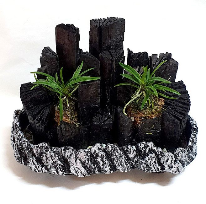 [황금뒤주] 백탄대리석마블 대 숯분재 천연가습, 1개