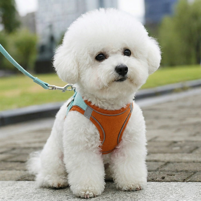 디아쿠아 고양이 강아지 야광 빛반사 벨크로 하네스 리드줄 세트, 민트오렌지, 1개