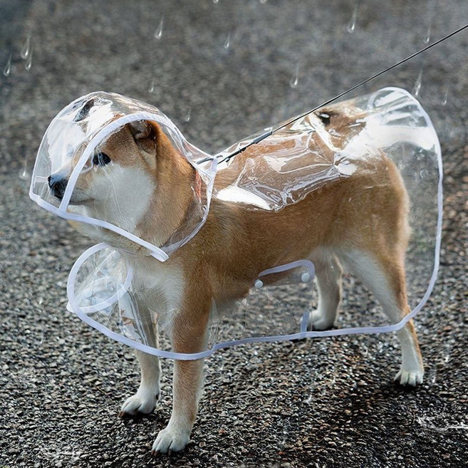 Tiger Pavilion 강아지 망토형 투명 비옷, 화이트, 1개