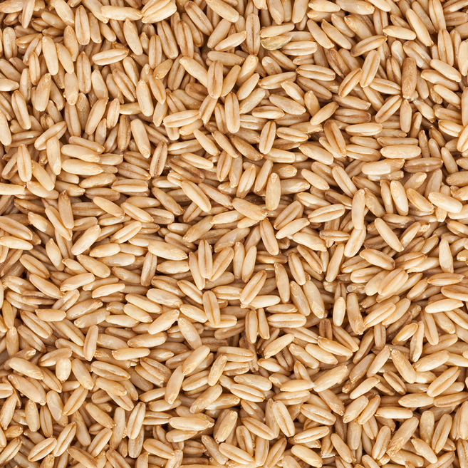 캐나다산 귀리 쌀 10kg (5kg+5kg) 수입 잡곡 슈퍼푸드, 5kg