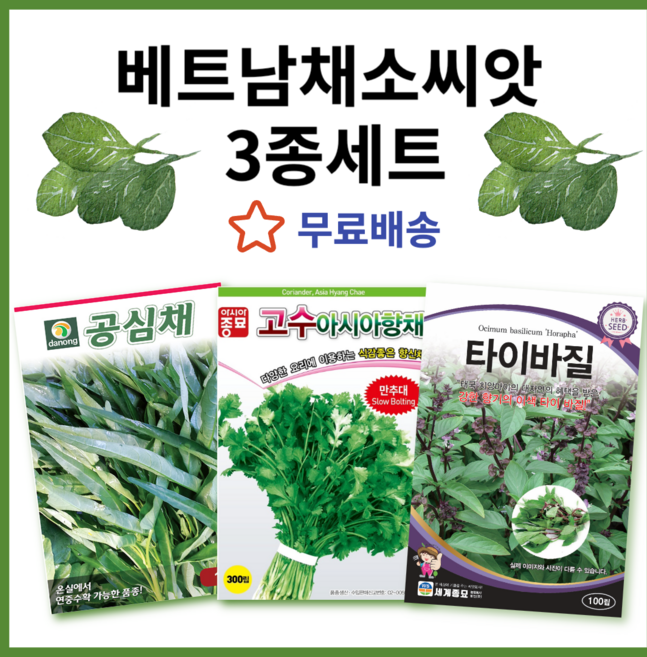 베트남 채소씨앗 3종세트 동남아 채소씨앗 고수 공심채 타이바질 모닝글로리 채소씨 채소종자, 1개
