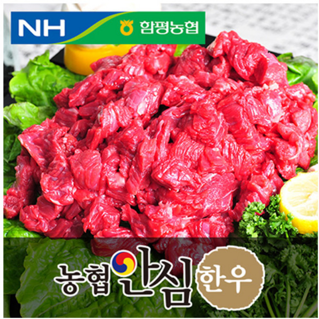 농협안심한우 양지모음 / (이력번호 표시제품임), 300g 덩어리(1등급), 1팩, 300g