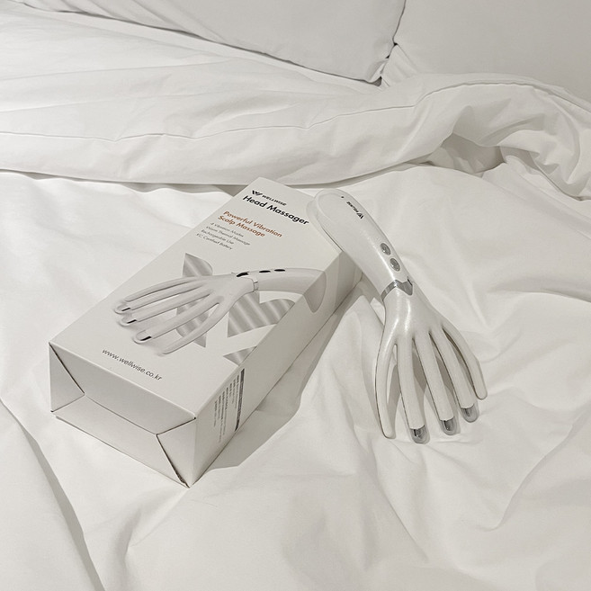 머리마사지기 두피관리기 헤어케어 웰와이즈 WHM 1100, 단품