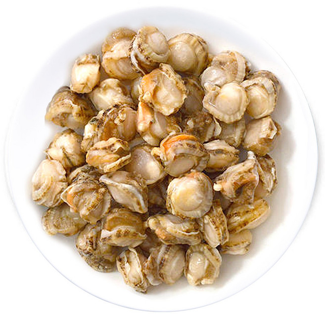 (배터짐) 캐롤라이나해만 자숙 가리비살 2kg 가리비 (일요일&당일발송), 1개