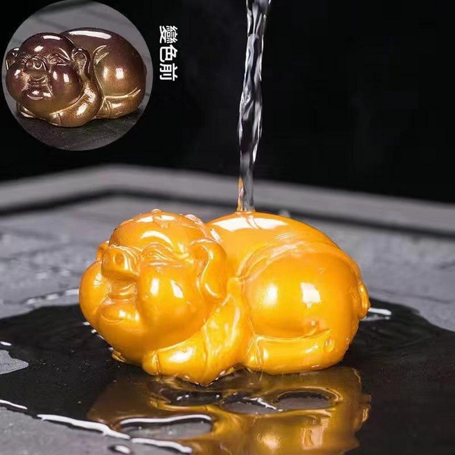 變色茶寵金蟾蜍擺件, 小金豬