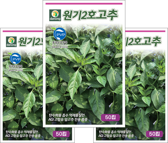 품종보호등록 원기2호고추 씨앗 50립 / AGI 고함유 잎따기 전용 잎고추 종자 / 채소씨앗 씨앗몰, 3개