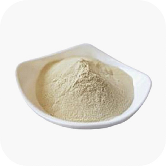 양배추 추출 고급 분말 가루 1kg, 1개