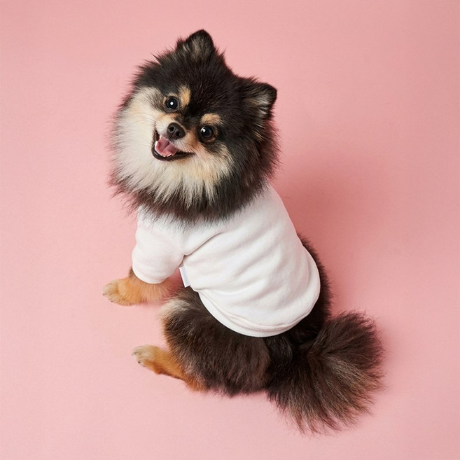 마몽펫즈 데일리핏 반려견 무지 쭈리코튼 맨투맨 소형 대형견 티셔츠, 1개, 코튼화이트