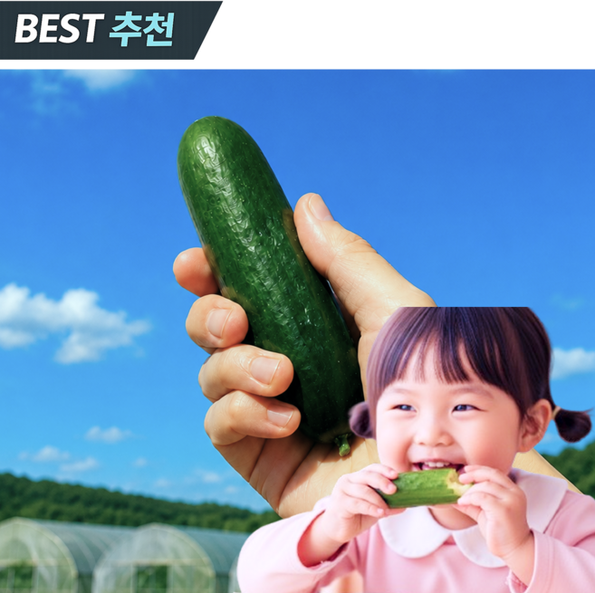 [한정세일] 국내산 미니오이 스낵오이, 1박스, 1kg