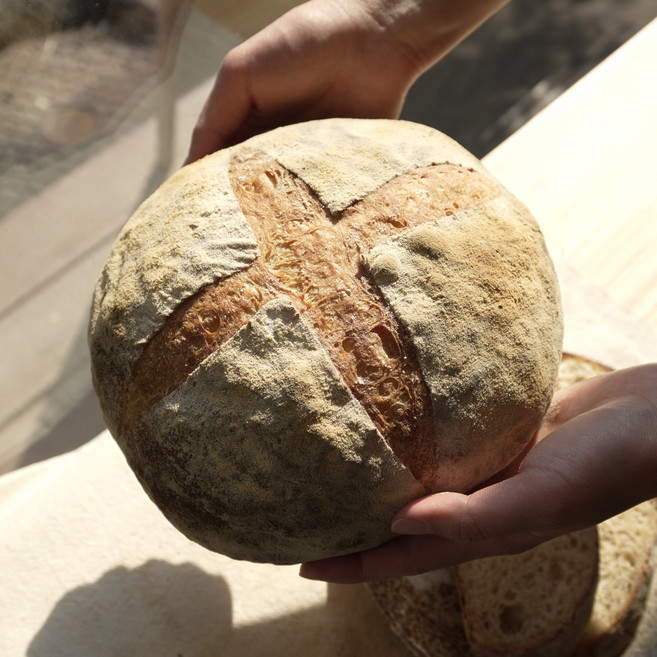 카무트 발효 비건빵 호라산밀 샌드위치 아침대용 500g, 1개