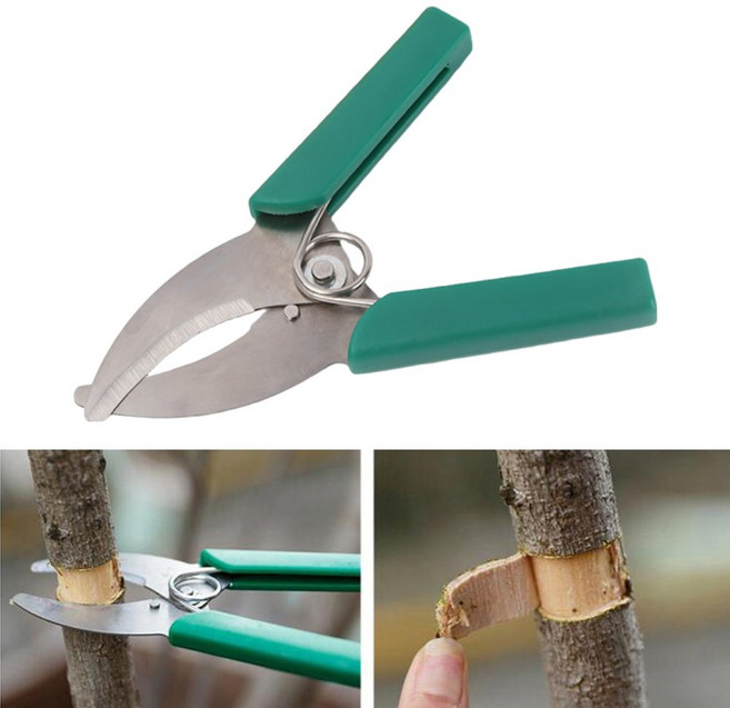 굿캐치 과수 환상박피기 나무줄기 껍질커터-그린, 1개