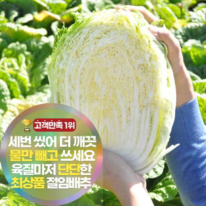 삼시세끼연구소 3중세척 더 깨끗하고 달큰한 괴산 강원도 고랭지 절임배추 김장 배추 최상품, 20kg, 1개, 추가정보 요청 메시지 입력