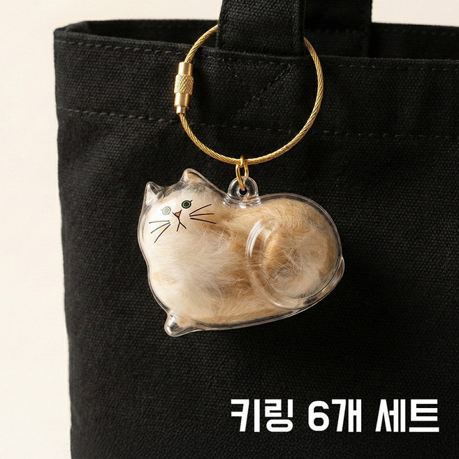 고양이 털보관 키링 반려묘 반려동물 추억 기념 메모리얼 캡슐 6종 세트, 1세트, 투명 (6종)