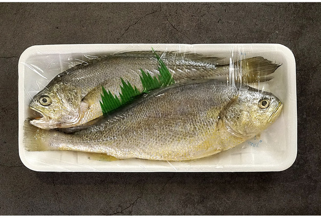 손질 부세조기 350g, 1개