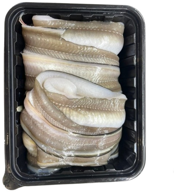 통영 바다장어 붕장어 9시이전결재 당일발송, 1개, 붕장어1kg대(2미전후)