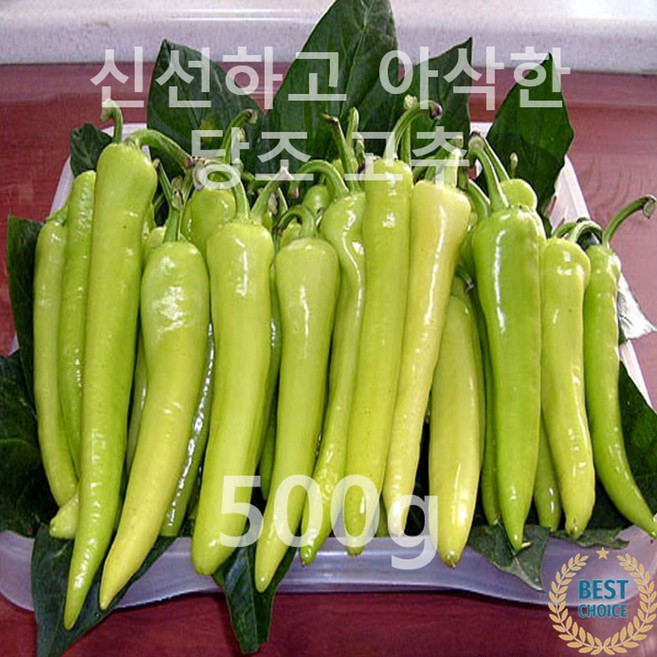 [탁월한 혈당 조절] 건강 관리에 탁월한 아삭한 당조 고추, 1박스, 당조 고추 500g