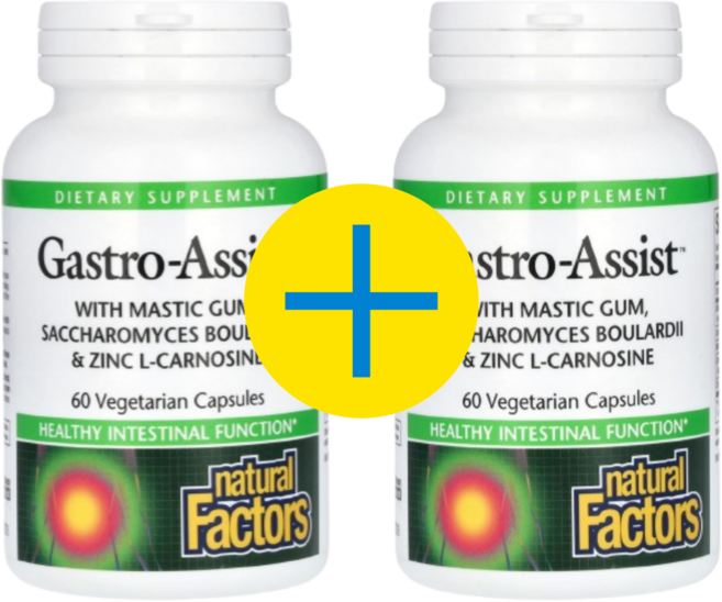 내추럴팩터스 매스틱 검 사카로미세스 보울라디 아연 L 카르노신 60베지캡슐 2개 마트리카리아 캐모마일 유향나무 비피더스균 비피도박테리움 롱검, 60정