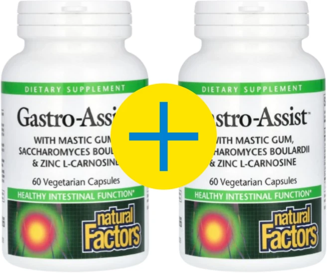 내추럴팩터스 매스틱 검 사카로미세스 보울라디 아연 L 카르노신 60베지캡슐 2개 마트리카리아 캐모마일 유향나무 비피더스균 비피도박테리움 롱검, 60정 - 쿠팡