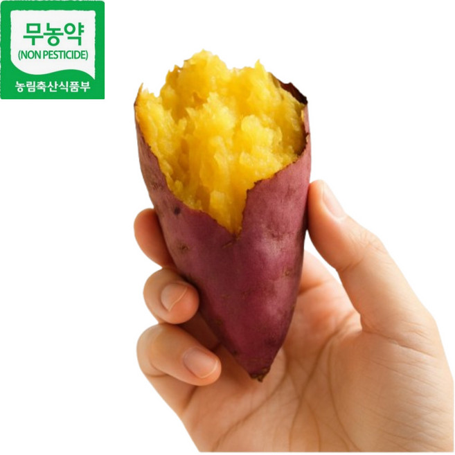 [해남 세척 무농약 꿀고구마] 달콤한 속노란 밤 고구마 (3kg/5kg 크기 선택), 5kg 대(300g 이상), 1개