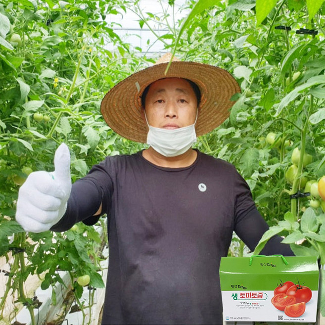 강원도 횡성 농부가 직접 통째로 갈아만든 생 토마토즙 110ml x 30포 다다식품 토마토즙, 30개