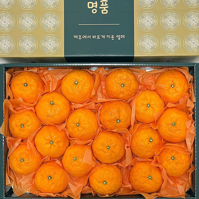 제주 카라향 제주도 카라향 택배 카라향 한박스 귤로향 노지카라향 하우스카라향, 1개, 5kg 20-30과 선물세트