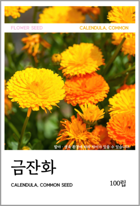 금잔화 씨앗 100립, 1개