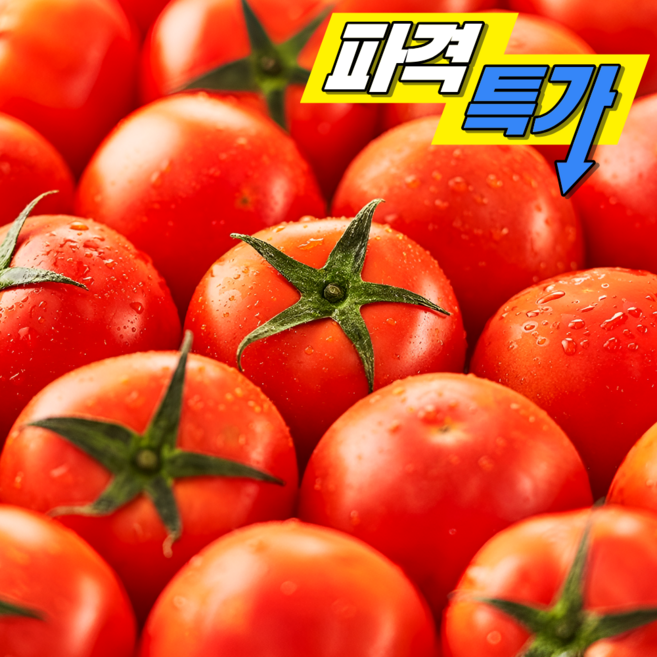 [특품행사] 찰토마토 빨간 완숙 토마토, 1박스, 5kg