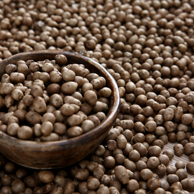 안동 햇 마씨(영여자) 마씨앗, 1개, 1kg