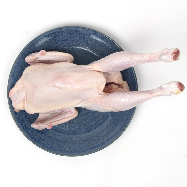 정담앤쿡 삼계탕용닭 영계 650g X1팩 백숙용 국내산 개별포장 삼계닭, 냉동, 1개