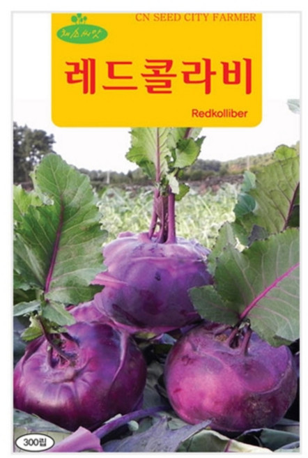 영농사 레드 콜라비 씨앗 300립 콜라비씨, 4개