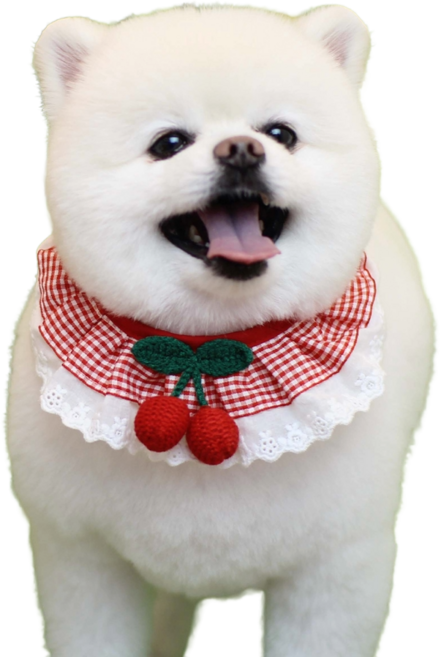 하니펫 반려동물 귀요미스카프 뜨게체리레이스, 빨강, 1개